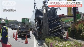 「ネコよけようと」トラックが電柱衝突【長崎県】