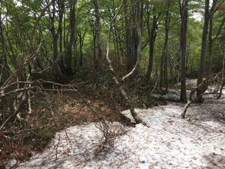 2018年五頭連山で遭難した親子が道を間違えて死亡した場所の分かれ道