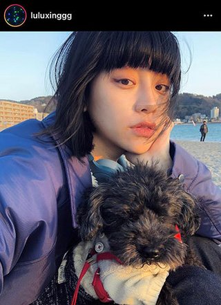 る鹿  自宅に男性連れ込み不倫か