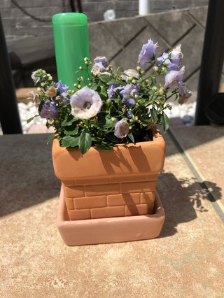 &#x{11:F9E6};&#x{11:F9E6};ガーデニング好きな方【情報交換】&#x{11:F9E6};&#x{11:F9E6};