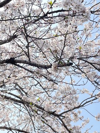 &#x{11:F8E2};なんでもいｰから&#x{11:F8E2};