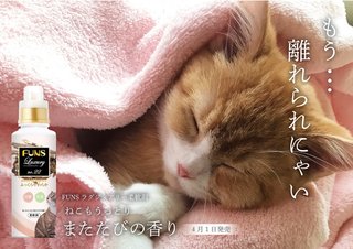 猫のための柔軟剤「FUNS Luxury柔軟剤　またたびの香り」新発売