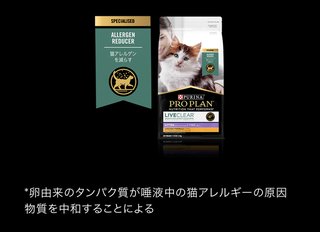 猫について何でもどうぞ【ねこ総合】