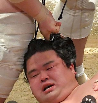 相撲みる人少ないのかな