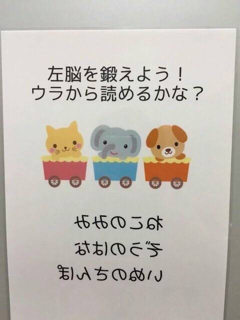 エロ画像じゃないよ