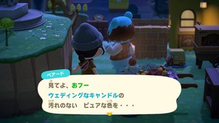 どうぶつの森 Switch 