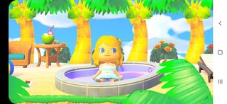 どうぶつの森 Switch 