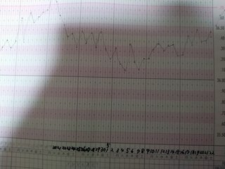 基礎体温見てください
