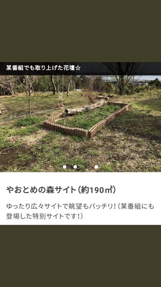 ヒルナンデス!総合