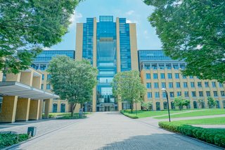 やはり安倍スガ自民党が世の中おかしくする　自民の手下駅伝原晋監督がいる青学で壮絶いじめ