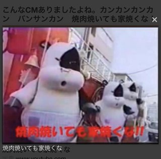 【千葉】「よーし！強風の中でバーベキューするぞ」→風下側の家11軒全焼