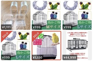 鳥好きさん、いませんか？