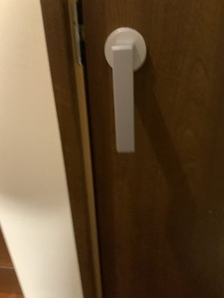 猫について何でもどうぞ【ねこ総合】