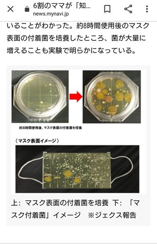 マスクの長時間着用で脳や肺に深刻なダメージ