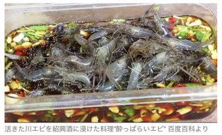 中国で男性の脳内にいっぱいの寄生虫が見つかる　「日本料理の流行が一因」と中国紙は報じるが
