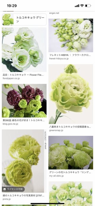 これはなんの花？