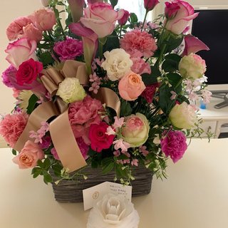 NEW    松居一代様を斬る