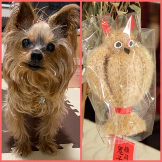 &#x{11:F8E2};なんでもいｰから&#x{11:F8E2};