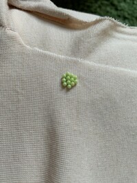 洗濯物に虫の卵がついてた！！