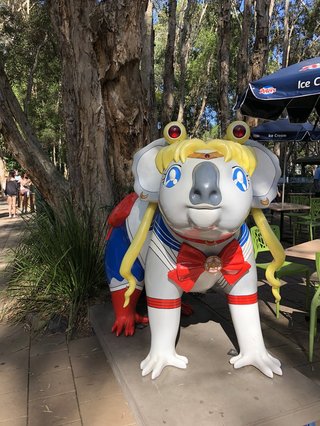 オーストラリアの動物園にこんなのがあるらしい