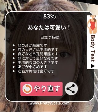 あなたは美しい？それともおブス？