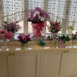 NEW    松居一代様を斬る