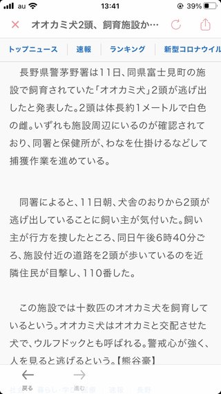 オオカミ犬2頭飼育施設から逃げる　長野県
