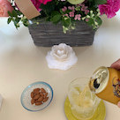 NEW    松居一代様を斬る