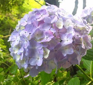 &#x{11:F8E2};なんでもいｰから&#x{11:F8E2};