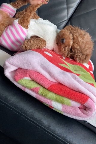 &#x{11:F8E2};なんでもいｰから&#x{11:F8E2};