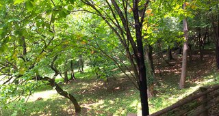 &#x{11:F8E2};なんでもいｰから&#x{11:F8E2};