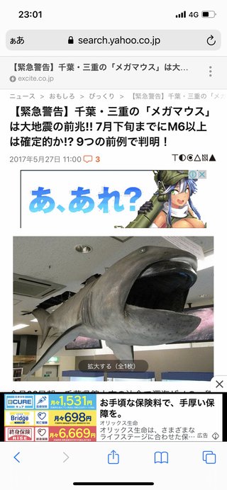 メガマウスの目撃情報があるんだね。