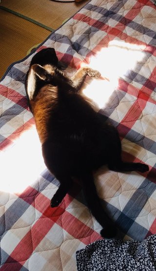 &#x{11:F8E2};なんでもいｰから&#x{11:F8E2};