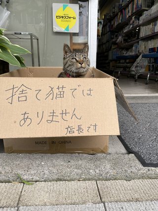 拾い画貼って