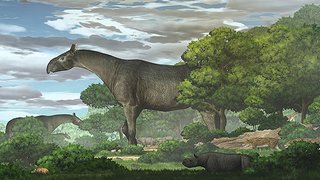 ゾウの6倍の体重でキリンよりも背が高い哺乳類の化石が発見される    