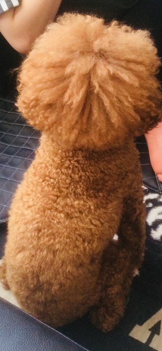 &#x{11:F8E2};なんでもいｰから&#x{11:F8E2};