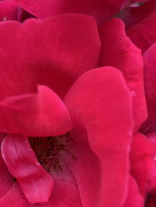 &#x{11:F8E2};なんでもいｰから&#x{11:F8E2};