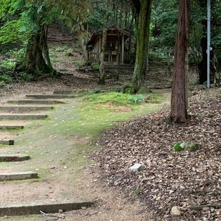 NEW    松居一代様を斬る