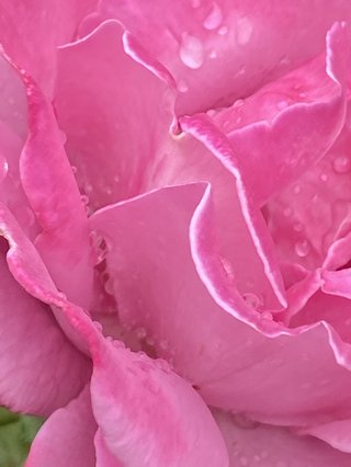 &#x{11:F8E2};なんでもいｰから&#x{11:F8E2};