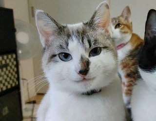 この子イケメン過ぎない？！