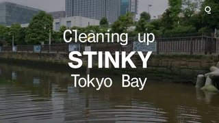 【悲報】ブルームバーグさん、トライアスロンの選手たちが飛び込む東京湾の汚さに絶句する