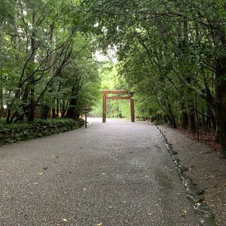 NEW    松居一代様を斬る