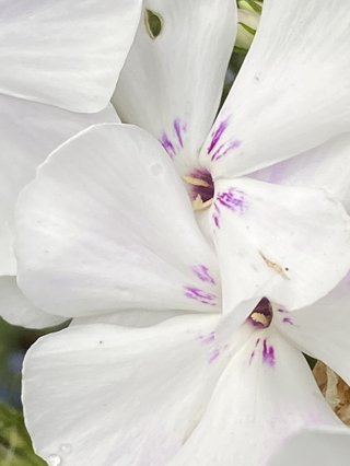 &#x{11:F8E2};なんでもいｰから&#x{11:F8E2};