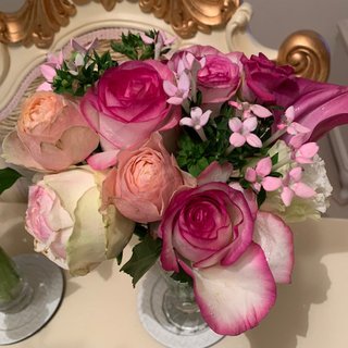 NEW    松居一代様を斬る