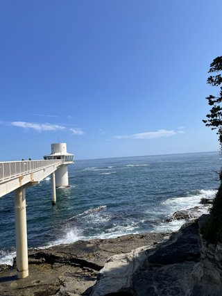 &#x{11:F8E2};なんでもいｰから&#x{11:F8E2};