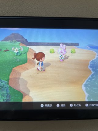 どうぶつの森 Switch 