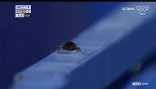 ゴキブリさん、五輪会場でトコトコ　中継で世界デビューしてしまう