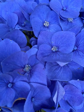 &#x{11:F8E2};なんでもいｰから&#x{11:F8E2};