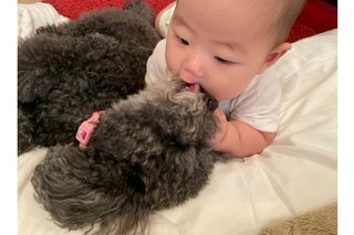 浜田ブリトニー