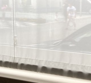 バカ家族